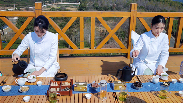 春风又绿天台山，邀你去浙江宁海桑洲镇品茶赏花